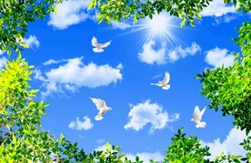 蓝天白云绿叶鸽子