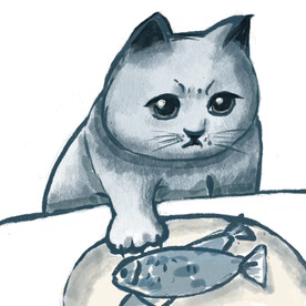 小猫咪能有什么坏心思