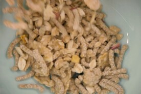 倒入麦片实拍视频