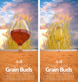 小满节气夜店酒吧海报