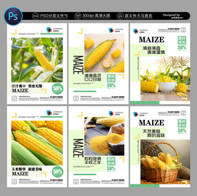 玉米海报