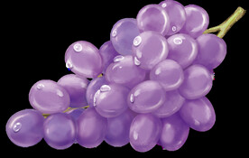 葡萄元素 