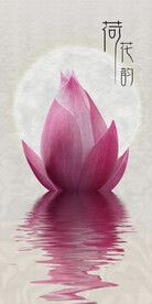 装饰画 荷花