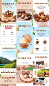 夏威夷果详情页