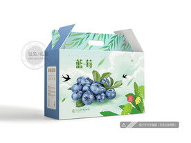 蓝莓包装 平面图