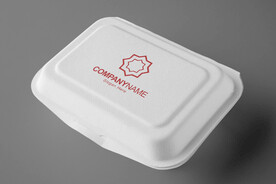 快餐打包盒样机