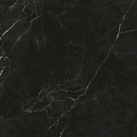 黑白根 爵士黑高清瓷砖设计