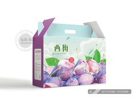 西梅包装 平面图