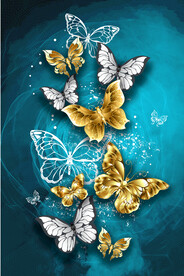 装饰画 蝴蝶