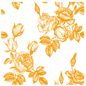 鲜花 蔷薇 玫瑰