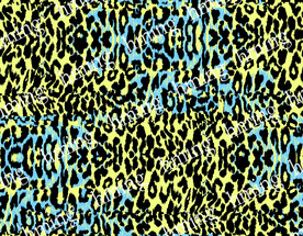 豹纹   