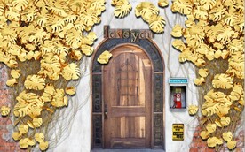 欧美风木门植物砖墙背景墙