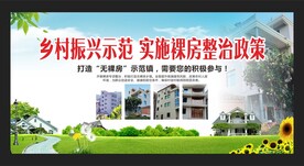 乡村振兴裸房整治