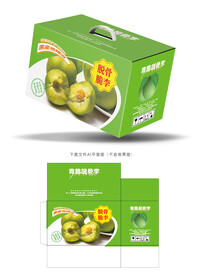 脱骨脆李包装