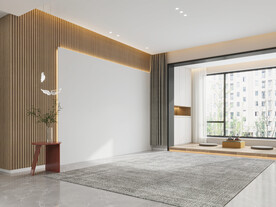 现代极简 轻奢客厅 空场景