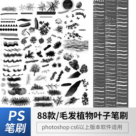 毛发树木羽毛笔刷