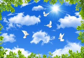 蓝天白云绿叶鸽子
