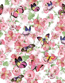 大牌 蝴蝶 碎花 印花