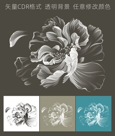 美丽绽放的花矢量图cdr