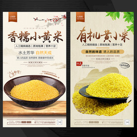 黄小米海报