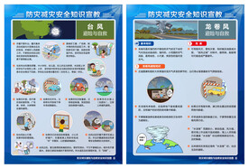 防灾减灾 台风龙卷风 DM单