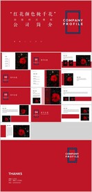 红色简介计划总结PPT模板