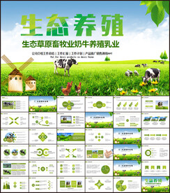 生态牧场畜牧业养殖牛群PPT