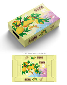 黄桃包装