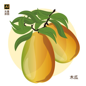 木瓜素材