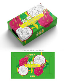 火龙果包装 