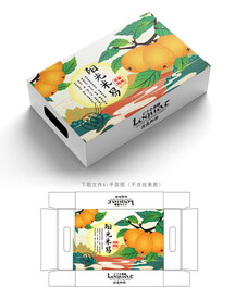 米易枇杷包装 