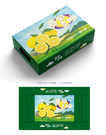 黄金贡柚包装
