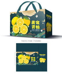 黄金贡柚包装
