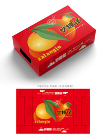 沙糖桔包装 