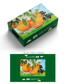 丑橘包装