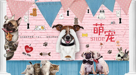 宠物店背景墙