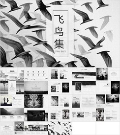 飞鸟集主题PPT模板素材