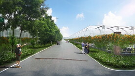 乡村振兴美丽乡村改造绿化效果图