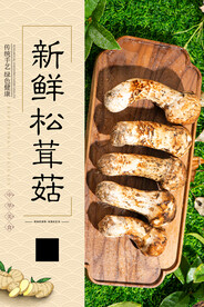 新鲜松茸菇