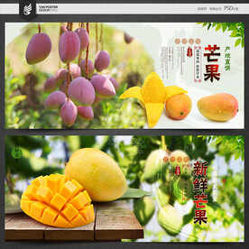 芒果海报