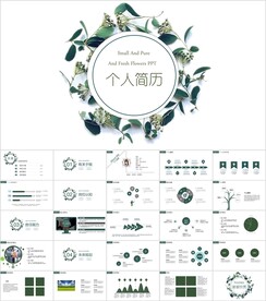 清新简洁个人简历PPT模板