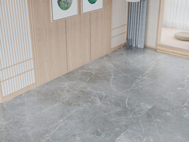 新中式客厅空场景