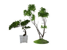 植物盆栽3d模型