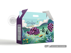 葡萄盒设计 平面图