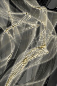 抽象透明金色线条飘带装饰画