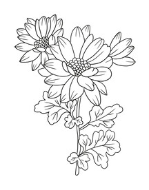 黑白花卉花边设计