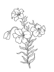 黑白花卉图案设计