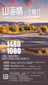 宁夏旅游海报
