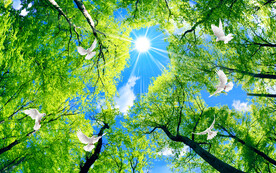 蓝天白云软膜天花