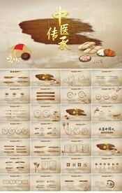 中医传承中医文化工作总结PPT